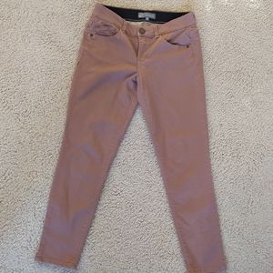 Women's Wit and Wisdom Pants